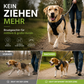 🐕 🦺 Lățuri care împiedică smuciturile — reflectorizante, respirabile, cu două puncte de fixare a lesei 🌿🌿
