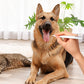 1+2 gratis🐱Produs pentru îndepărtarea tartrului destinat câinilor și pisicilor✨🦷