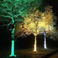 🌳 Pierścieniowa lampa do drzew IP65🌙Wodoodporna, energooszczędna i łatwa w montażu