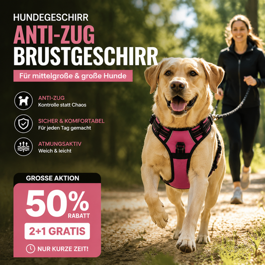 🐕 🦺 Lățuri care împiedică smuciturile — reflectorizante, respirabile, cu două puncte de fixare a lesei 🌿🌿